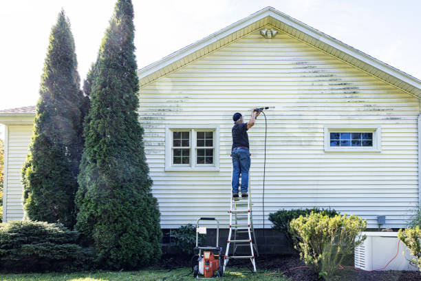 Best Gutter Cleaning  in Islandia, NY